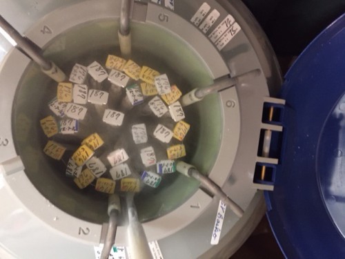 frozen semen tank