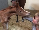 long time friend nancy with new born