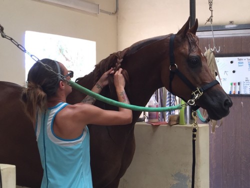swimmer ld pistol with ashley getting some tlc