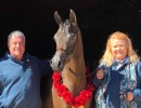 rahpture scottssdale fillies with alex   janice owners