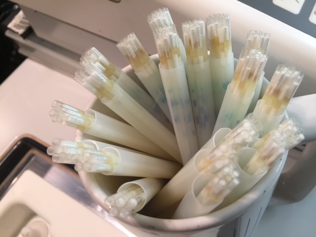 Doses ready to load 1