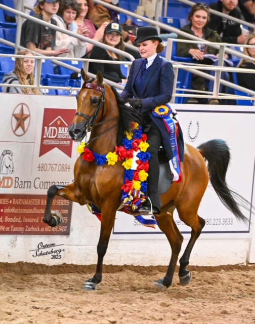 Hotel California KF - Out of Afires Alibi and sired by Life InThe Faztlane