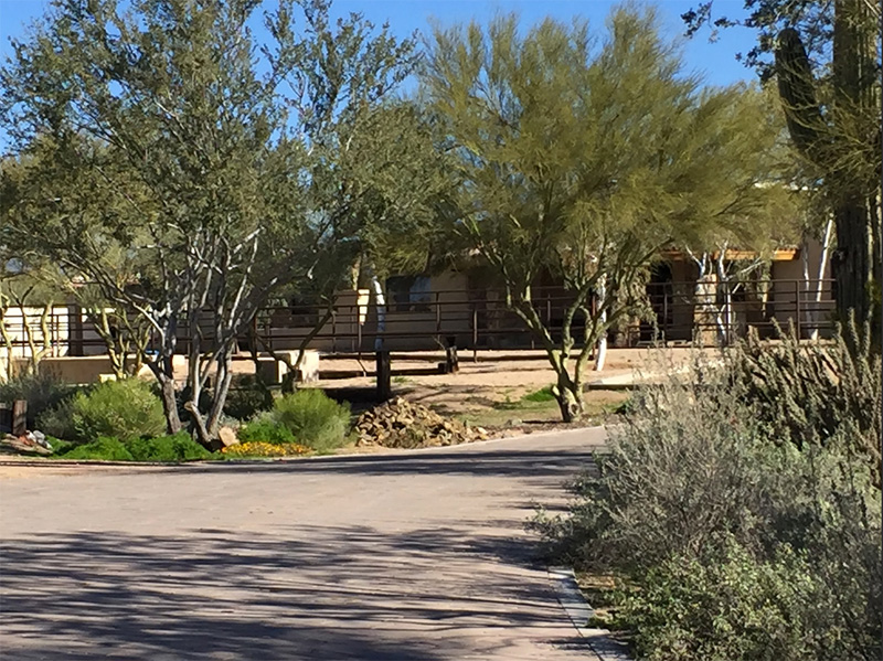 Santolina Farm - Entrance