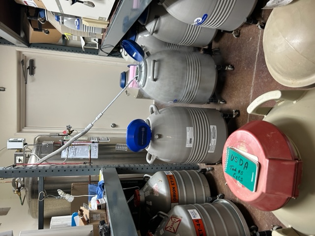 Semen Storage Tank Room
