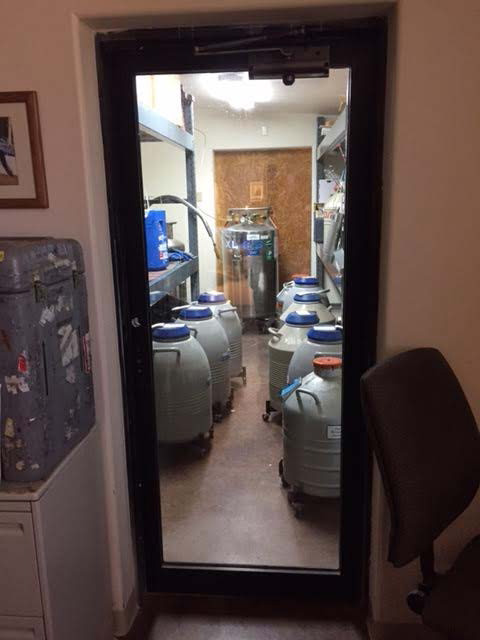 Semen Storage Tank Room