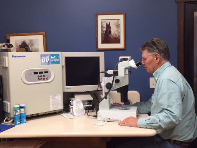 Jack in Embryo Lab Station